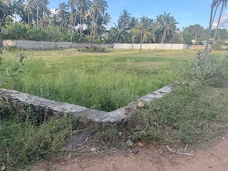  Residential Plot 206 Sq. Meter for Sale in Alagappapuram, Kanyakumari