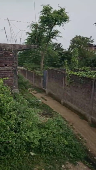  Residential Plot 1634 Sq.ft. for Sale in Daltonganj, Palamu