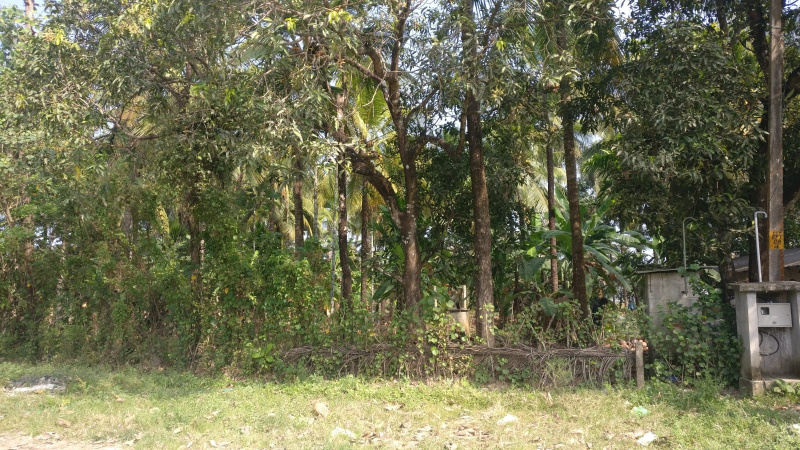  Residential Plot 2 Acre for Sale in Kuttanellur, Thrissur