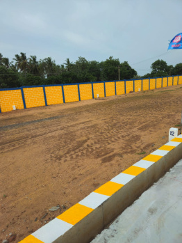  Residential Plot for Sale in Fathima Nagar, Tiruchirappalli