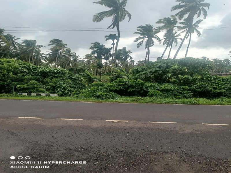  10000 Sq. Meter Residential Plot for Sale in Bombooflat Bombooflat