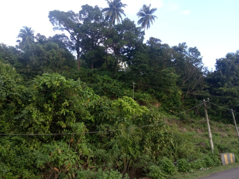  10000 Sq. Meter Residential Plot for Sale in Bombooflat Bombooflat