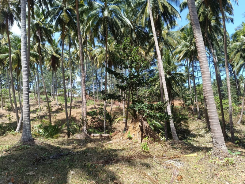  38500 Sq. Meter Commercial Land for Sale in Calicut, Port Blair