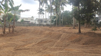 Residential Plot for Sale in Chenkottukonam, Thiruvananthapuram