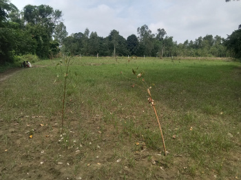  Agricultural Land for Sale in Pihani, Hardoi