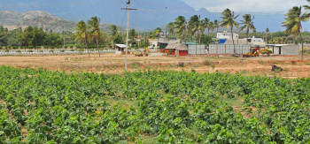  Residential Plot for Sale in Oddanchatram, Dindigul