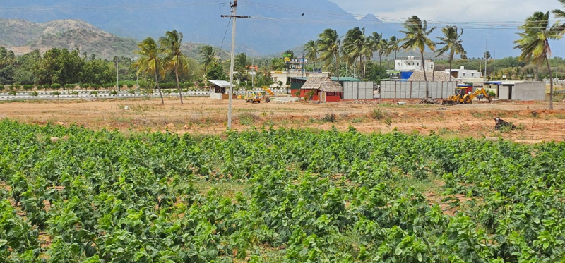  Residential Plot 43500 Sq.ft. for Sale in Oddanchatram, Dindigul