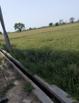  Agricultural Land for Sale in Pilana, Baghpat
