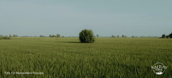  Residential Plot for Sale in Thol Road, Ahmedabad