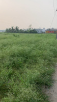  Agricultural Land for Sale in Annur, Coimbatore