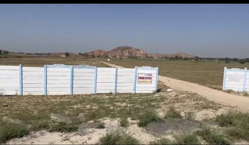  1100 Katha Residential Plot for Sale in Wazirganj, Gaya