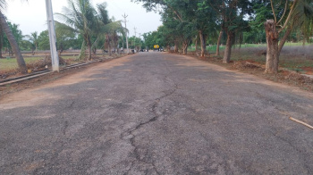  Residential Plot for Sale in Bhogapuram, Visakhapatnam