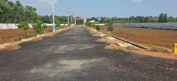  Residential Plot 200 Sq. Yards for Sale in Bhogapuram, Visakhapatnam
