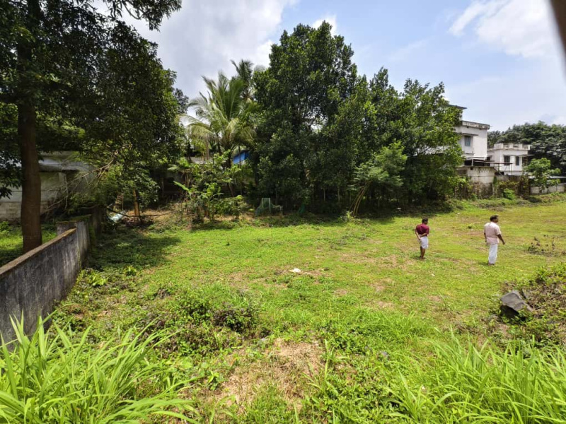  65 Cent Commercial Land for Sale in Sreekrishnapuram, Palakkad