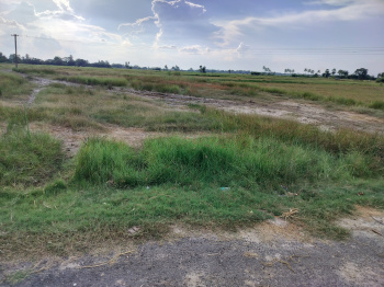  Agricultural Land for Sale in Kalakattur, Kanchipuram