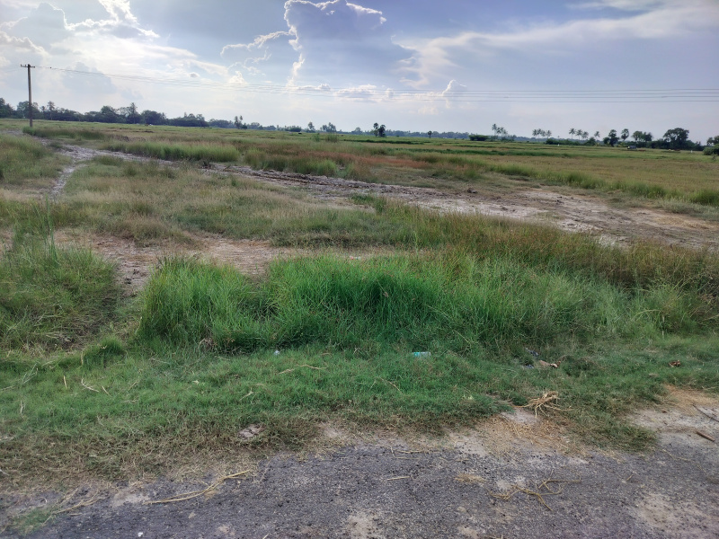  21 Acre Agricultural/Farm Land for Sale in Kalakattur, Kanchipuram