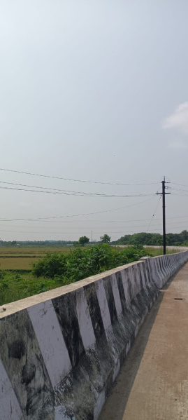  6 Acre Agricultural/Farm Land for Sale in Walajabad, Kanchipuram