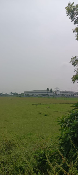  6 Acre Agricultural/Farm Land for Sale in Walajabad, Kanchipuram