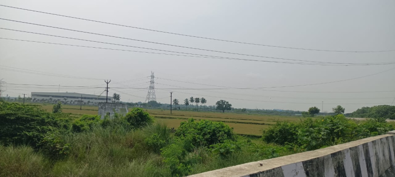  6 Acre Agricultural/Farm Land for Sale in Walajabad, Kanchipuram