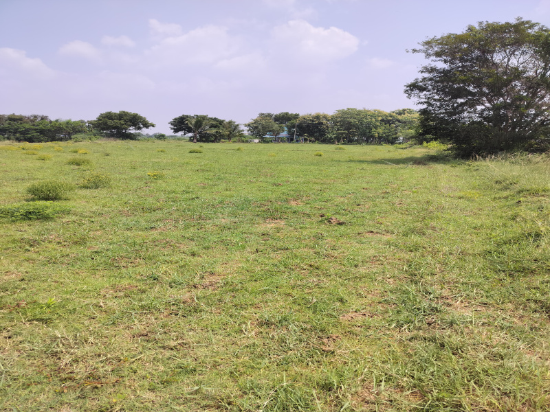  5 Acre Agricultural/Farm Land for Sale in Kalathur, Kanchipuram