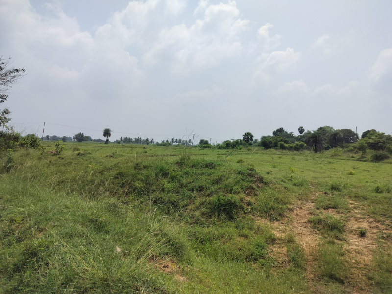  5 Acre Agricultural/Farm Land for Sale in Kalathur, Kanchipuram