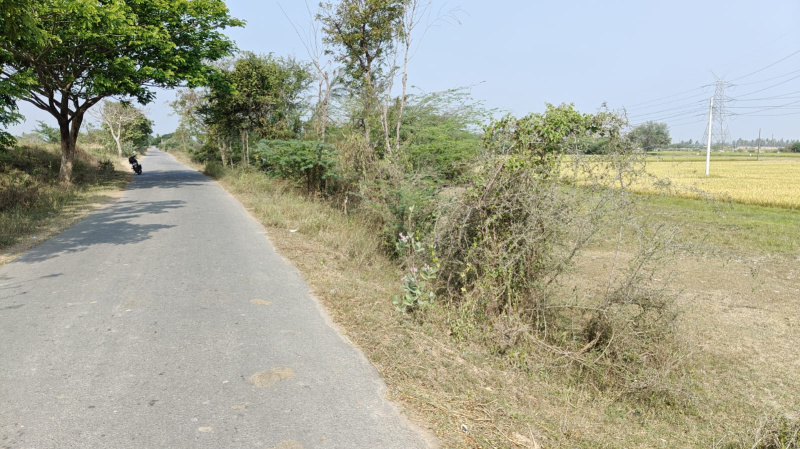  13 Acre Agricultural/Farm Land for Sale in Cheyyar, Tiruvannamalai