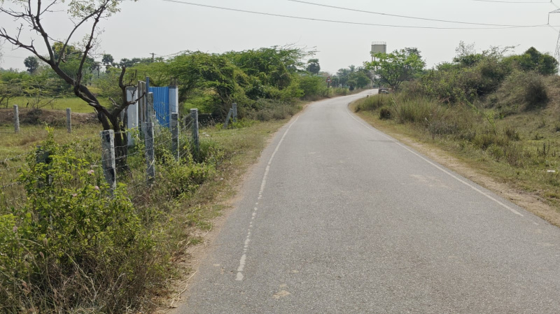  10 Acre Agricultural/Farm Land for Rent in Cheyyar, Tiruvannamalai