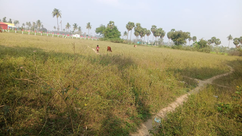  3 Acre Industrial Land for Sale in Sunguvarchatram, Kanchipuram