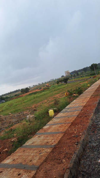1200 Sq.ft. Residential Plot for Sale in Arasinakunte, Nelamangala, Bangalore