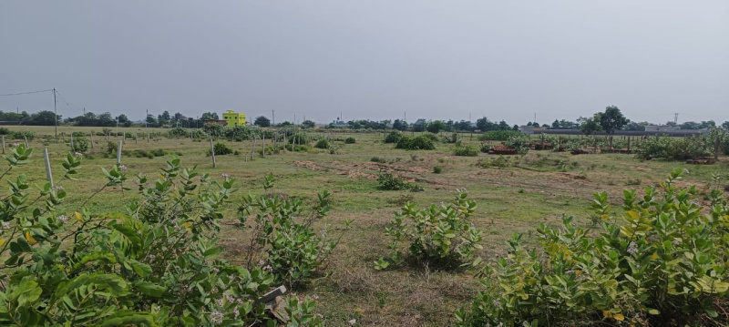  Residential Plot 6000 Sq.ft. for Sale in Marine Drive Road, Puri