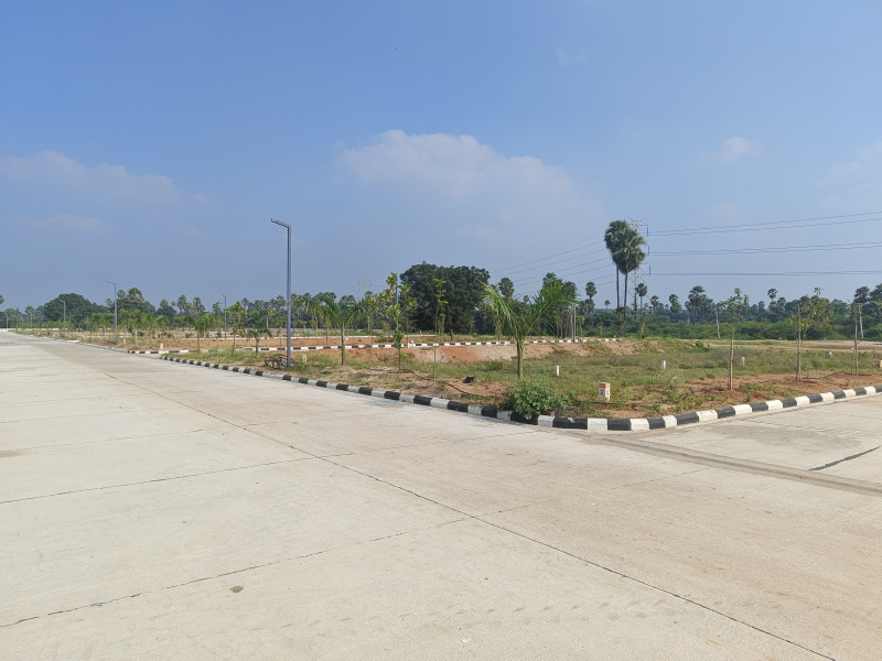 167 Sq. Yards Residential Plot for Sale in Adibatla, Hyderabad