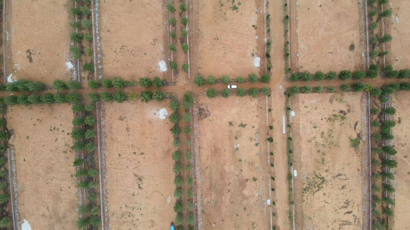  183 Sq. Yards Residential Plot for Sale in Nadergul, Hyderabad