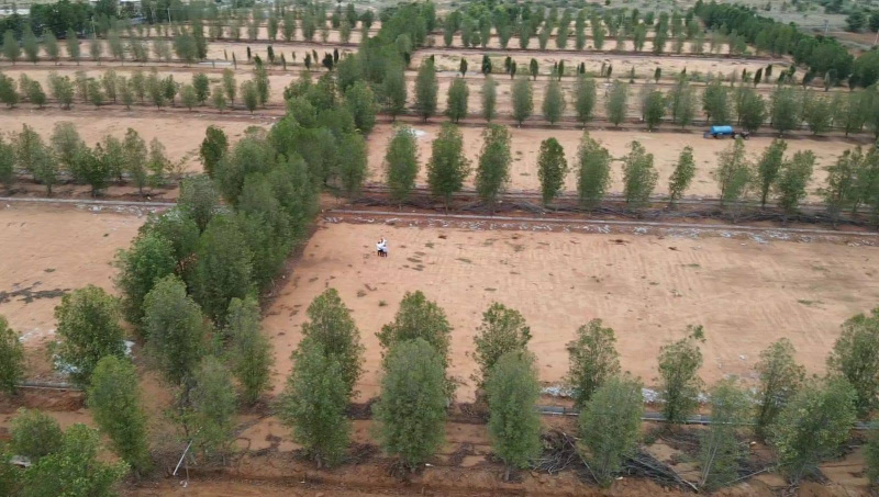  183 Sq. Yards Residential Plot for Sale in Nadergul, Hyderabad