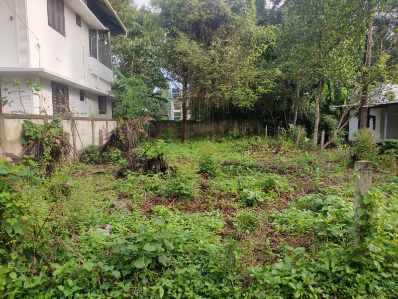 Residential Plot 176 Sq. Meter for Sale in Kuttoor, Thrissur