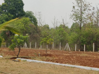  Residential Plot for Sale in Murbad, Thane