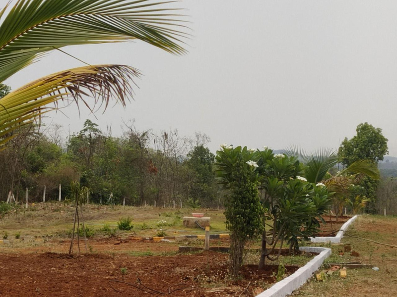  Residential Plot 2000 Sq.ft. for Sale in Murbad, Thane