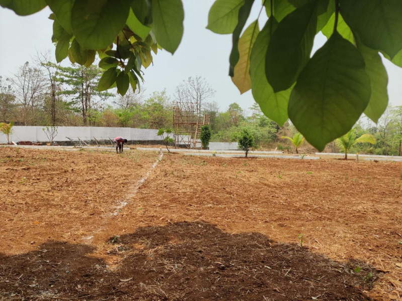  Residential Plot 2000 Sq.ft. for Sale in Murbad, Thane
