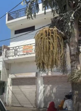 6 BHK House 2368 Sq.ft. for Sale in Bachhrawan, RaeBareli