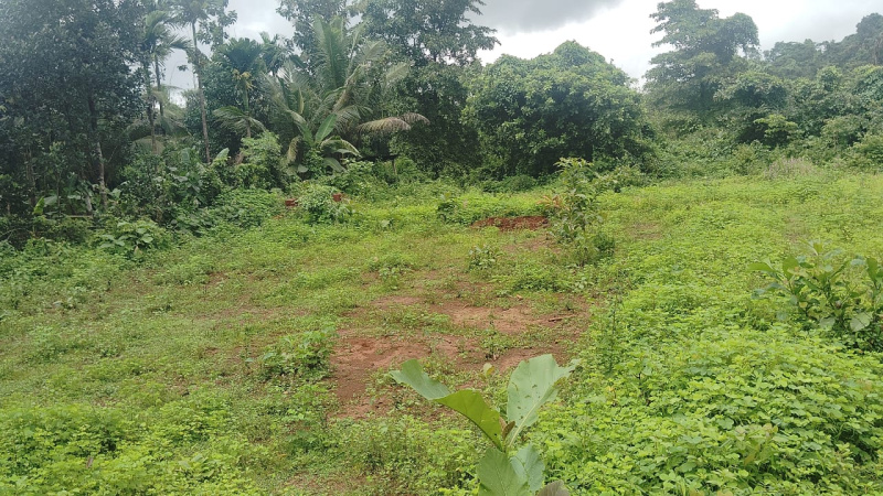  Residential Plot 543 Sq. Meter for Sale in Bicholim, Goa