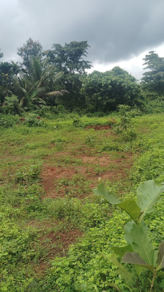  Residential Plot 543 Sq. Meter for Sale in Bicholim, Goa