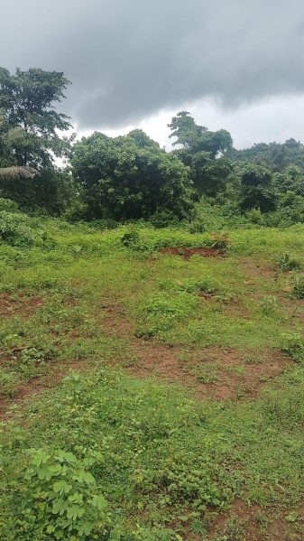  Residential Plot 543 Sq. Meter for Sale in Bicholim, Goa