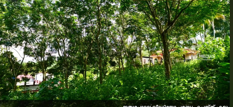  3 Acre Warehouse for Sale in Arakkunnam, Ernakulam