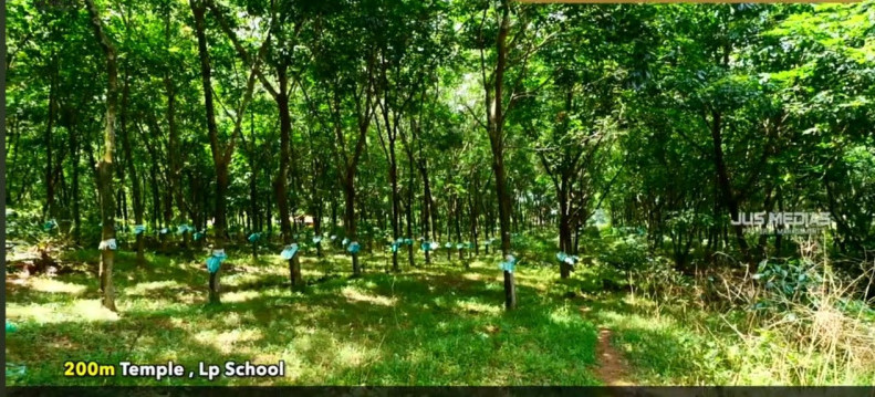  3 Acre Warehouse for Sale in Arakkunnam, Ernakulam