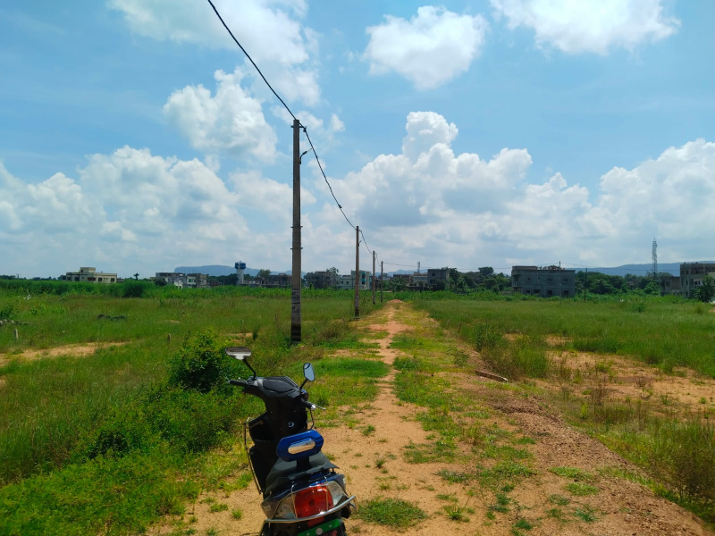  5 Dismil Residential Plot for Sale in Kiriburu, Kendujhar