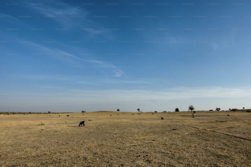  2 Katha Residential Plot for Sale in Jhajha, Jamui