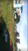  Residential Plot for Sale in Shamanur, Davanagere