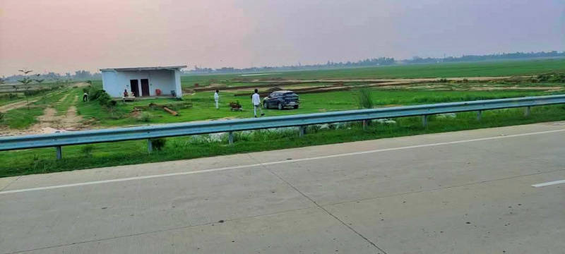  Residential Plot 1000 Sq.ft. for Sale in Bargadwa, Gorakhpur