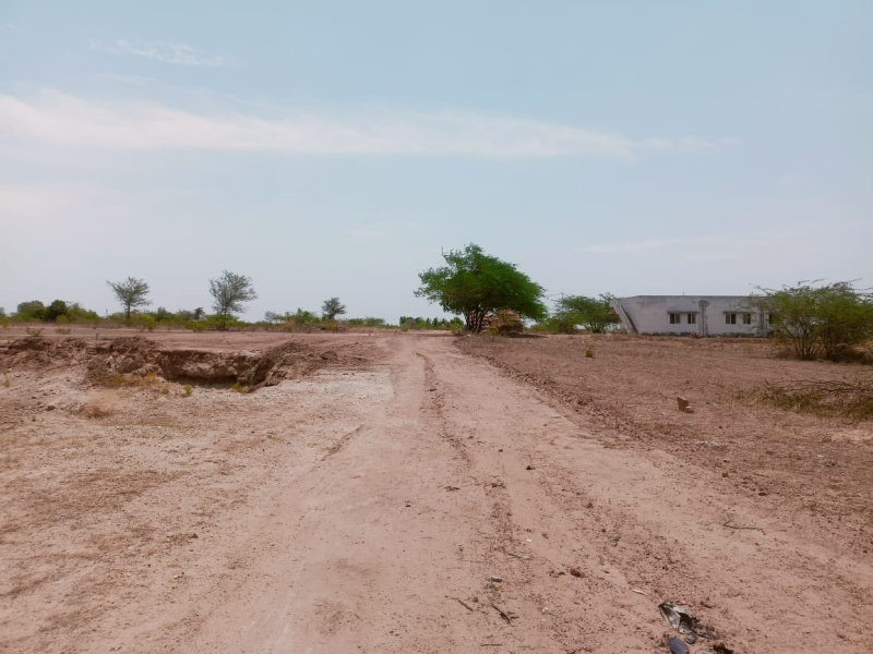  Residential Plot 1200 Sq.ft. for Sale in Viralimalai, Tiruchirappalli
