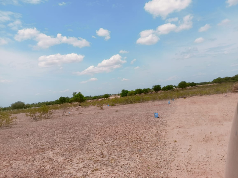  Residential Plot 1200 Sq.ft. for Sale in Viralimalai, Tiruchirappalli