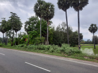  Agricultural Land for Sale in Sivagiri, Tirunelveli